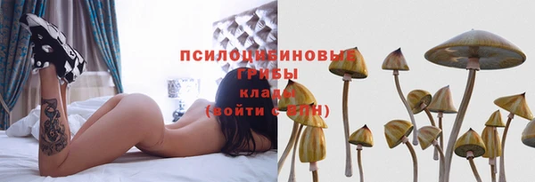 ПСИЛОЦИБИНОВЫЕ ГРИБЫ Весьегонск