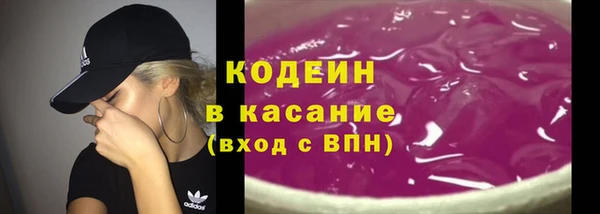 круглые Пересвет