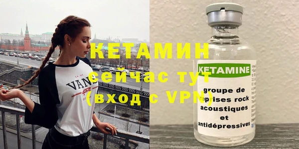 круглые Пересвет