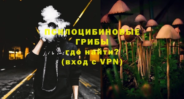 прущие крисы Переславль-Залесский