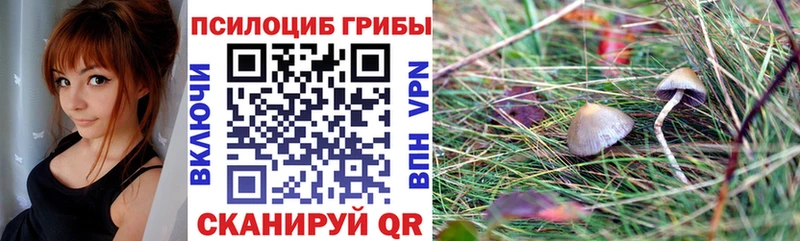 купить наркотики сайты  Владикавказ  Галлюциногенные грибы прущие грибы 