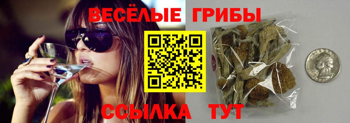 Псилоцибиновые грибы GOLDEN TEACHER Владикавказ